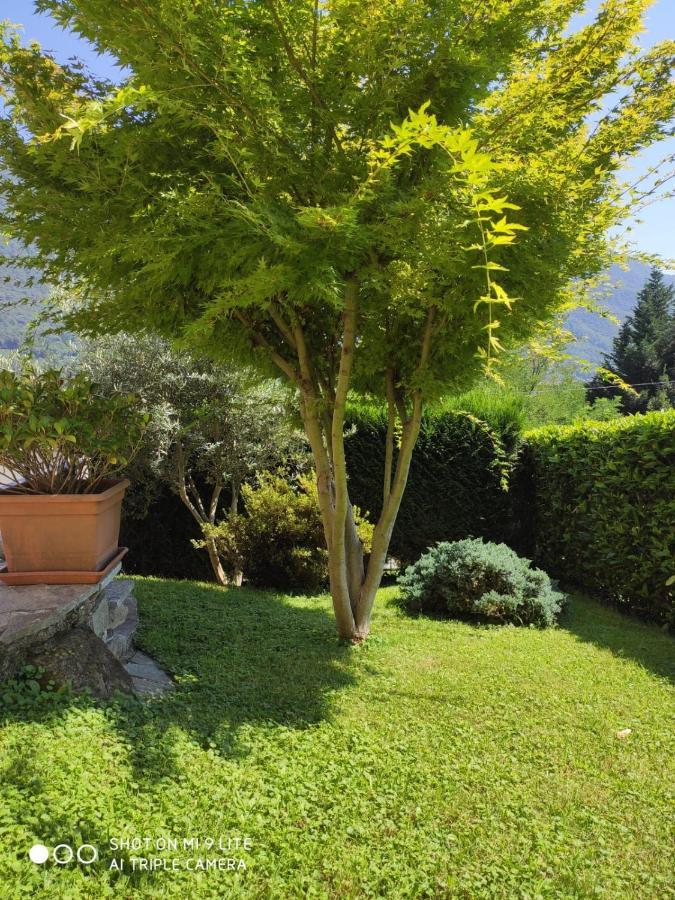 Casa Vacanza Il Glicine Casale Corte Cerro المظهر الخارجي الصورة