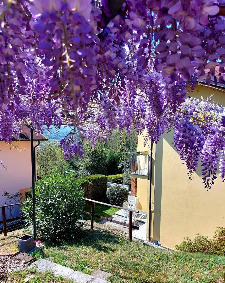 Casa Vacanza Il Glicine Casale Corte Cerro المظهر الخارجي الصورة